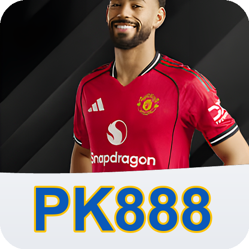 Verificação KYC PK888